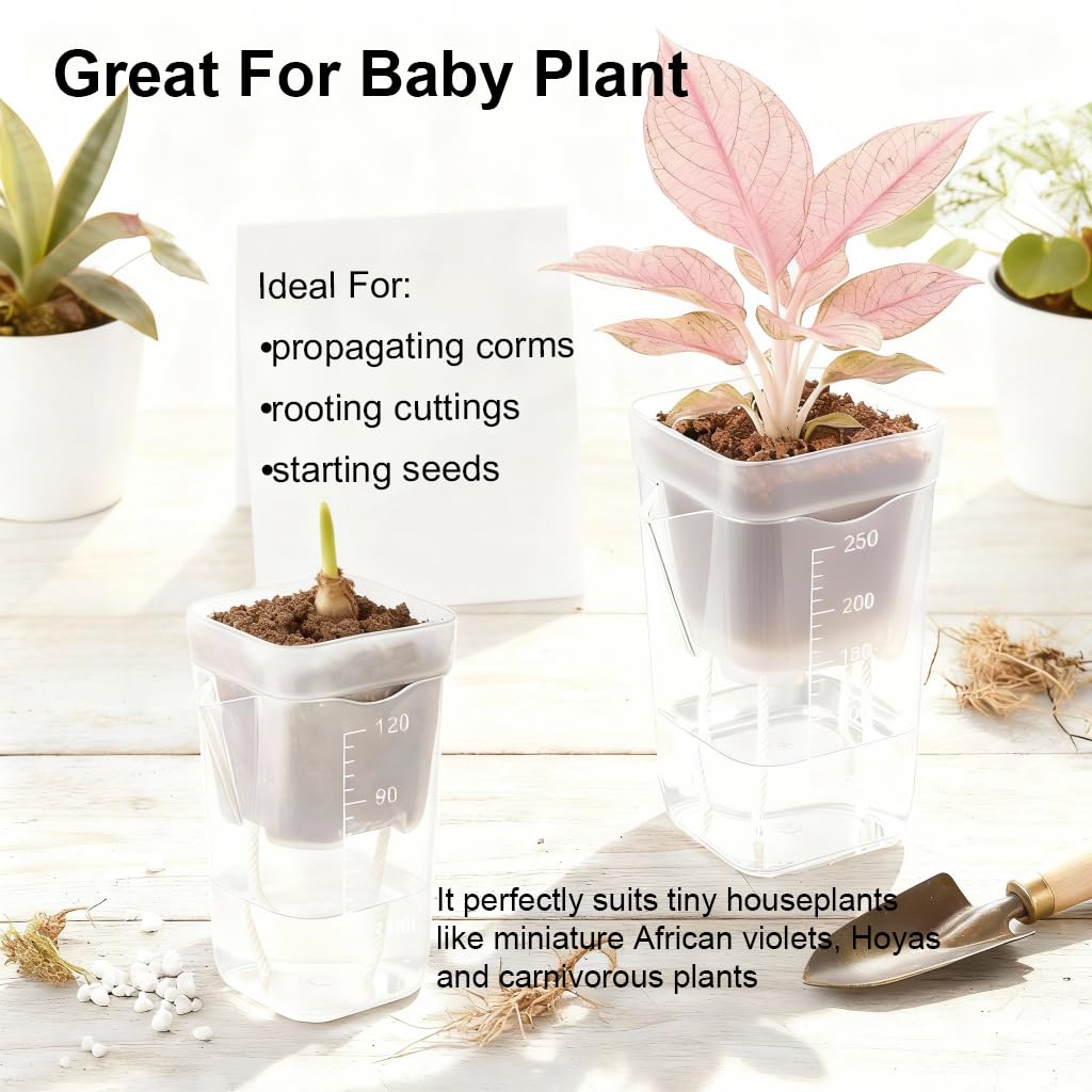 TineDew propagation-friendly pot ideal for seedlings and cuttings on windowsills.