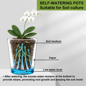 Visible root growth in the inner pot with enhanced aeration