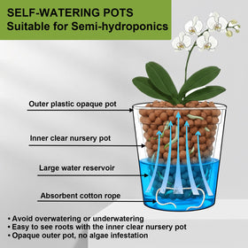 TineDew self-watering wick system delivers steady moisture to roots