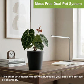 Three-pack design offers versatile arrangement and easy display rotation