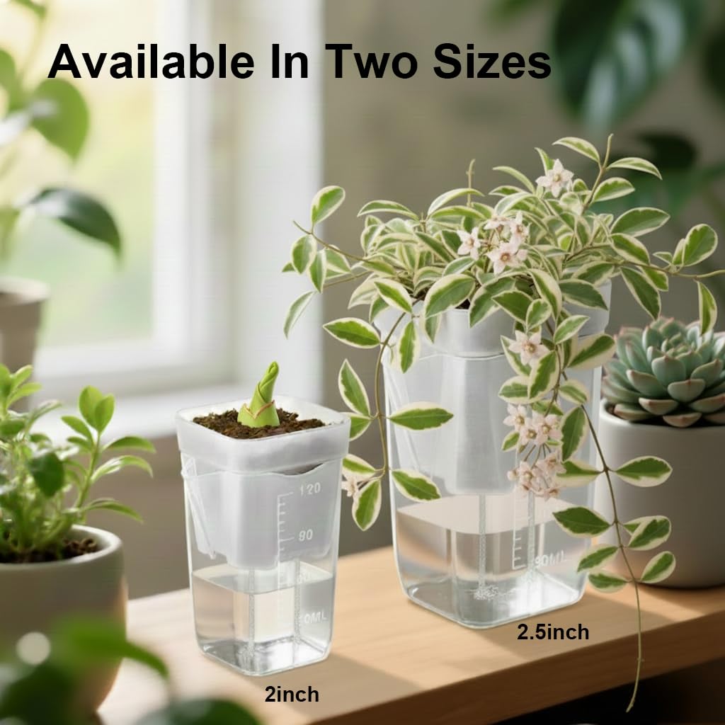 TineDew compact 2.5-inch pots fit tiny houseplants like African violets.
