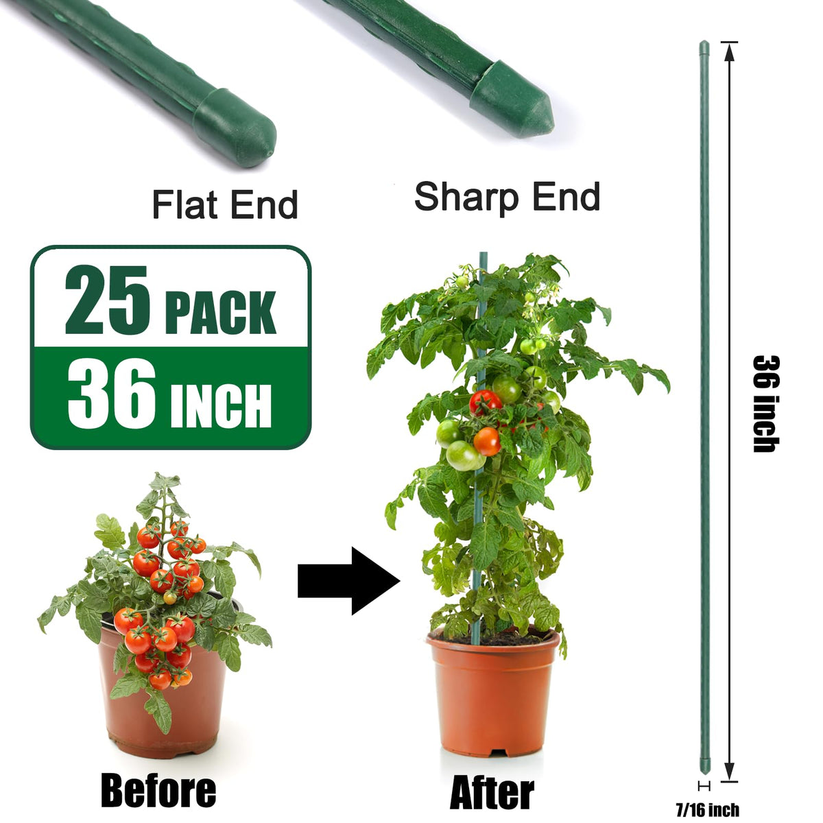 Tingyuan 36-inch stake with sharpened point for easy insertion.
