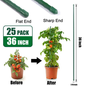 Tingyuan 36-inch stake with sharpened point for easy insertion.