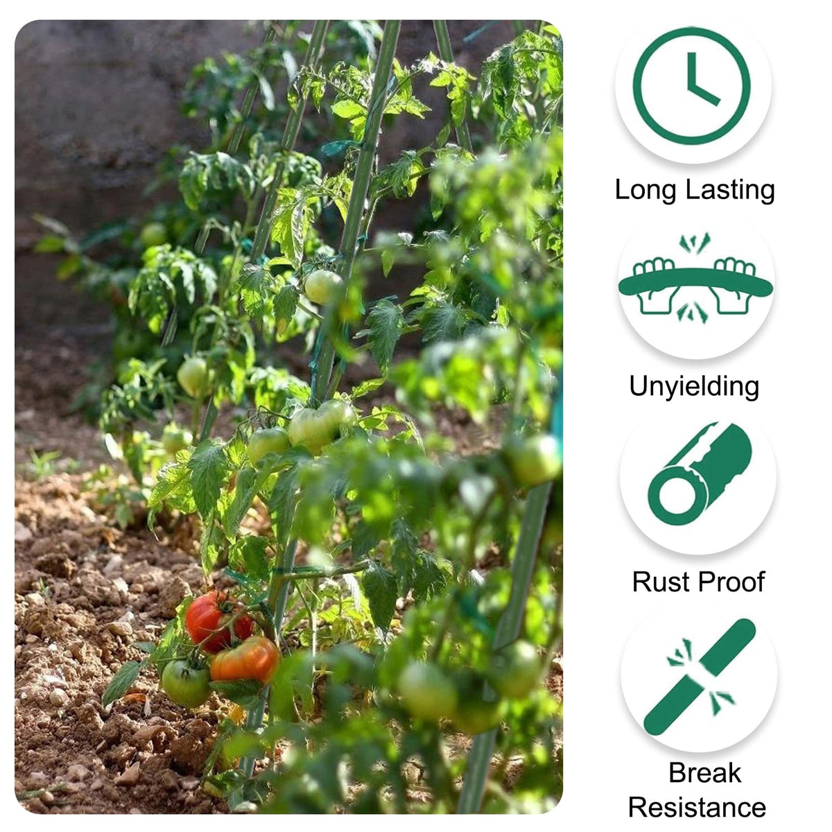 Tingyuan green-coated stake resists rust for long-lasting use.