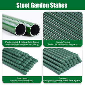Tingyuan green-coated steel stake provides sturdy tomato support in soil.