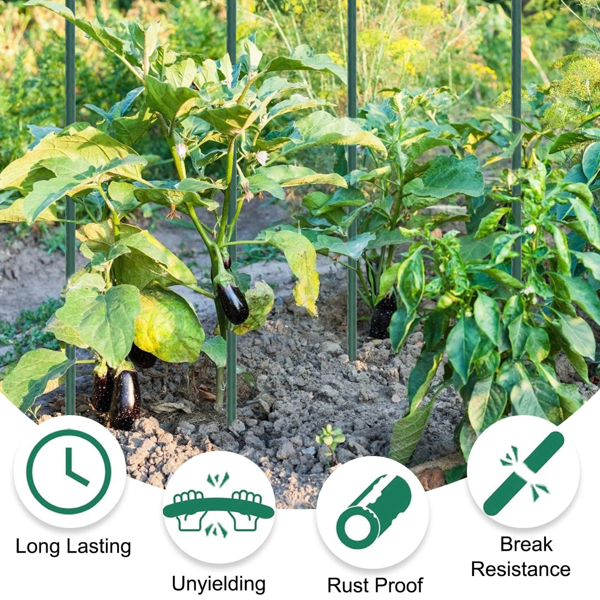 Tingyuan hollow steel core offers durable, long lasting garden support.