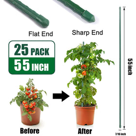 Tingyuan steel plant stake with pointed tip for easy soil insertion.