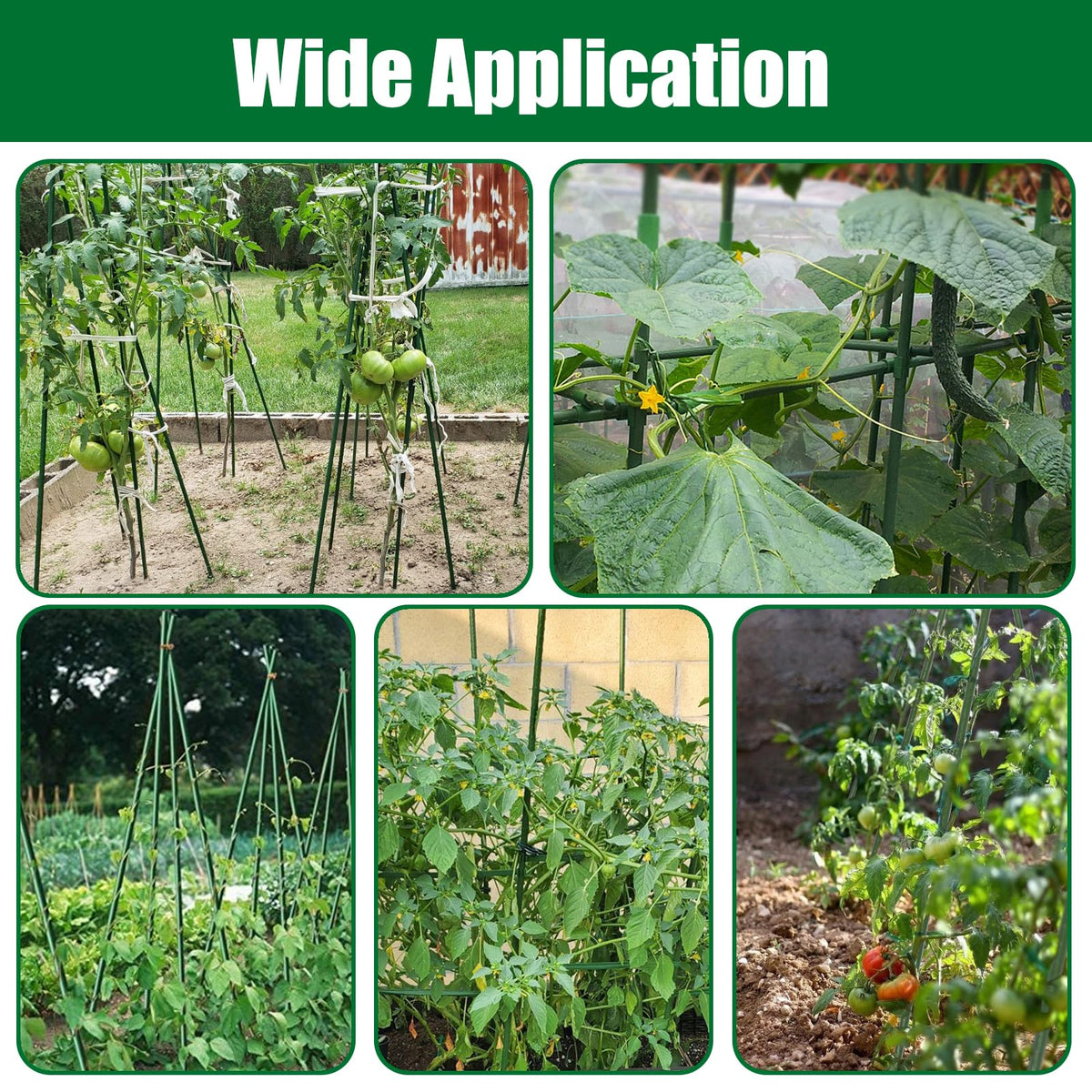 Tingyuan tomato stake 4ft being inserted into soil for support