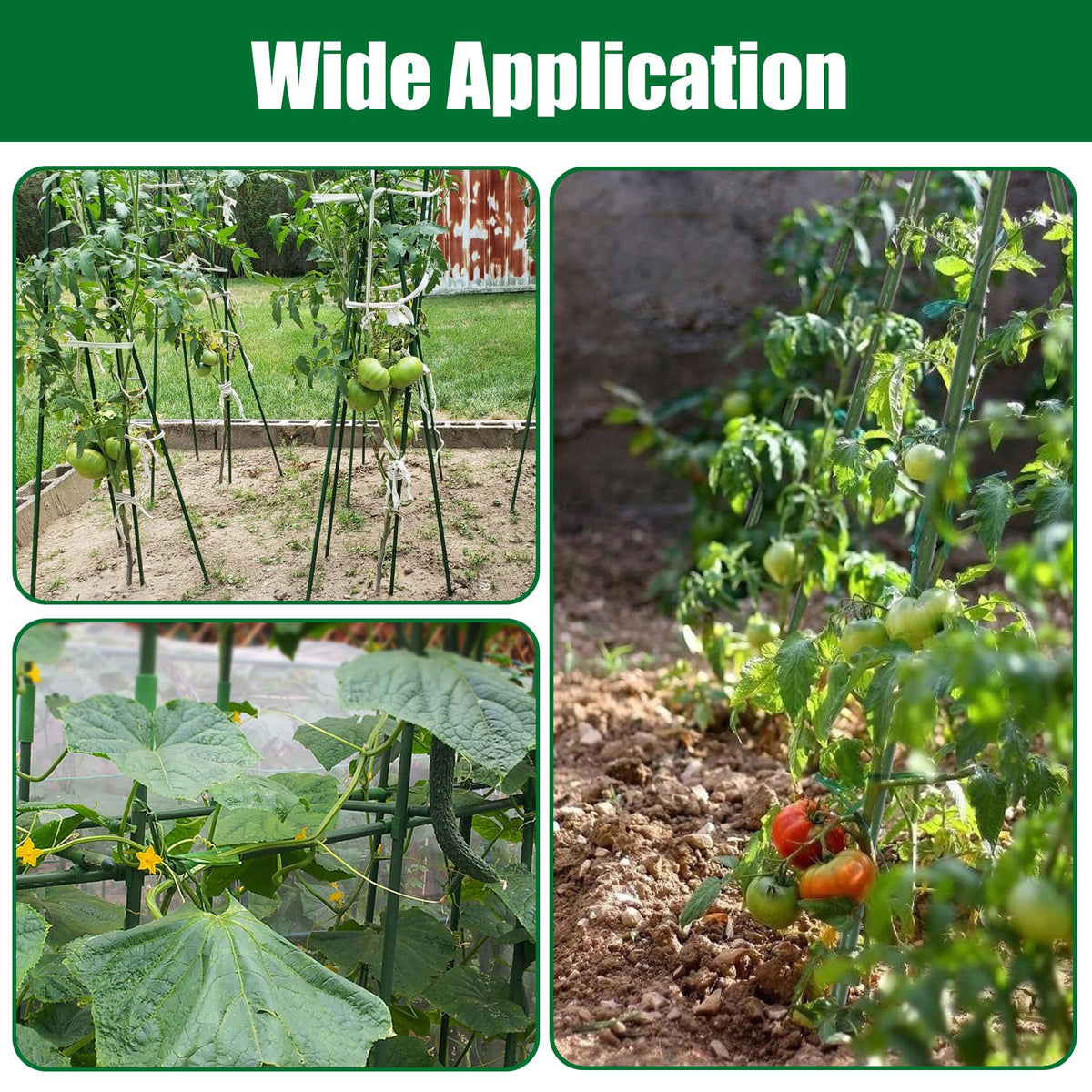 Tingyuan twine-ready stake supports branches with minimal damage.