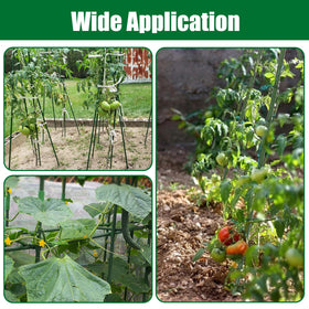 Tingyuan twine-ready stake supports branches with minimal damage.