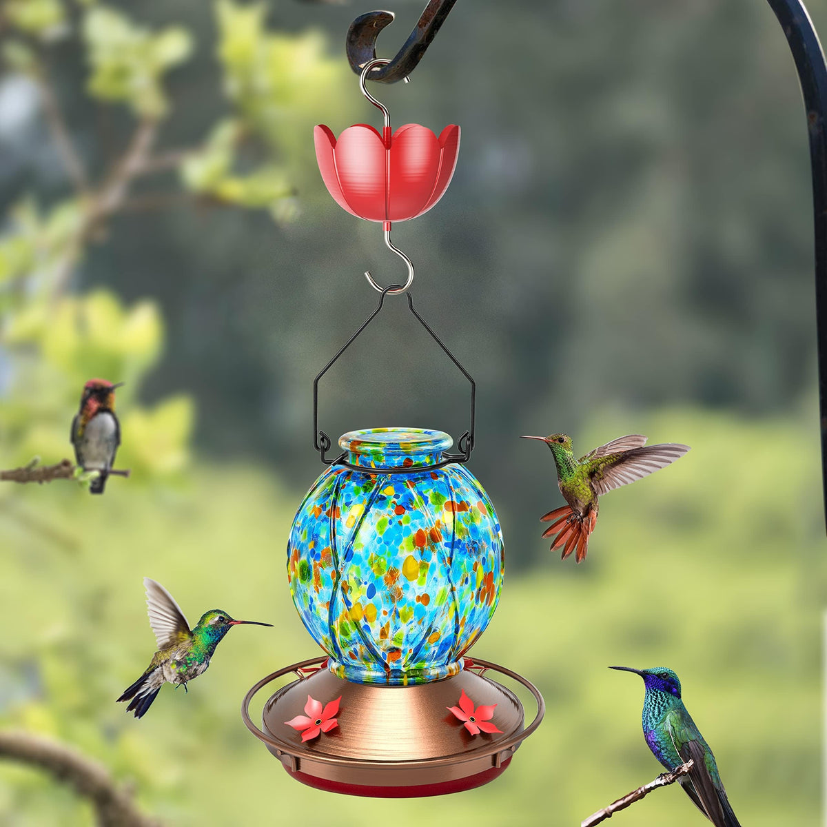 Tinlaviy ant moat attracts hummingbirds with its color cue.