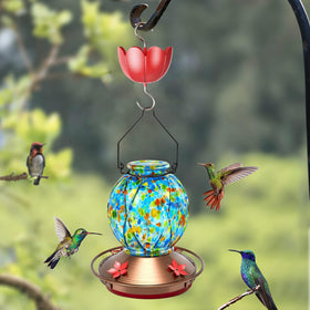 Tinlaviy ant moat attracts hummingbirds with its color cue.