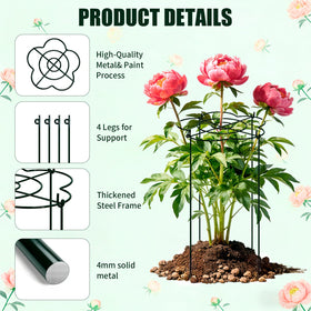 Tinrbip Peony Cages 24-inch height helps develop tall stems and prevents flopping
