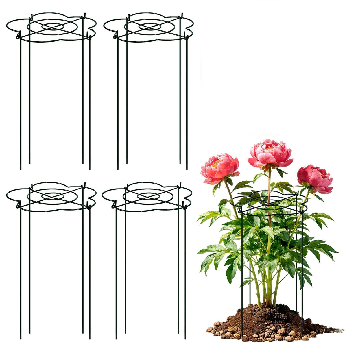 Tinrbip Peony Cages four-leg assembly demonstrates sturdy support for wind prone gardens