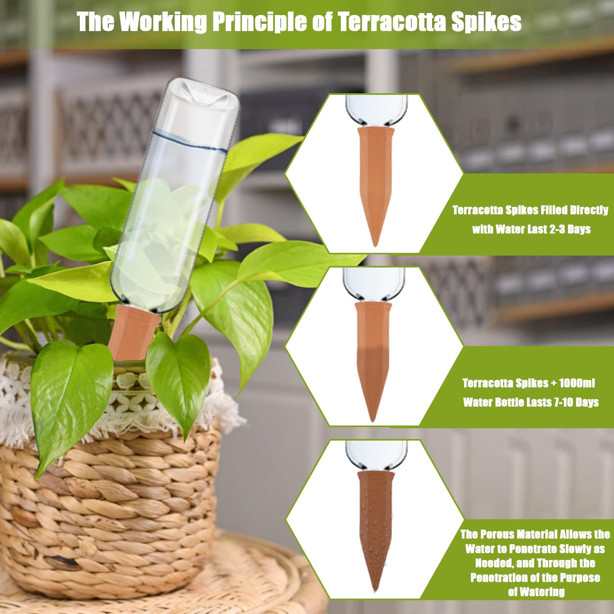 TINSKY 8-piece plant watering system for indoor and outdoor use