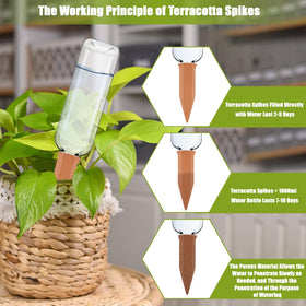 TINSKY 8-piece plant watering system for indoor and outdoor use