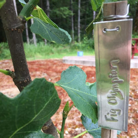 TINSKY double-eyelet plant tags designed to resist wind wear.