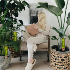 TINSKY indoor-outdoor plants application highlights versatility for home gardens.