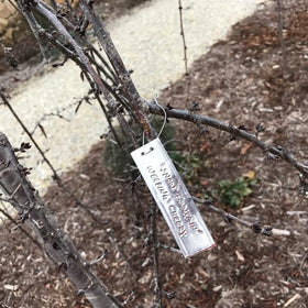 TINSKY bulk plant labels ideal for trees, flowers, and pots.