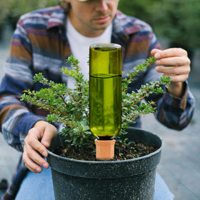 TINSKY plastic green bottles assembly demonstrates a practical self-watering setup for busy homes.