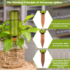 TINSKY self-watering setup in pot illustrates simple hydration for potted plants.