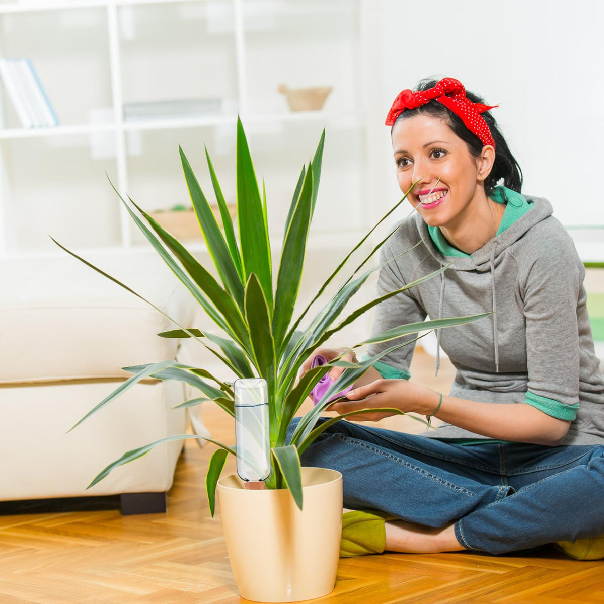 TINSKY vacation plant watering setup keeps plants hydrated while away