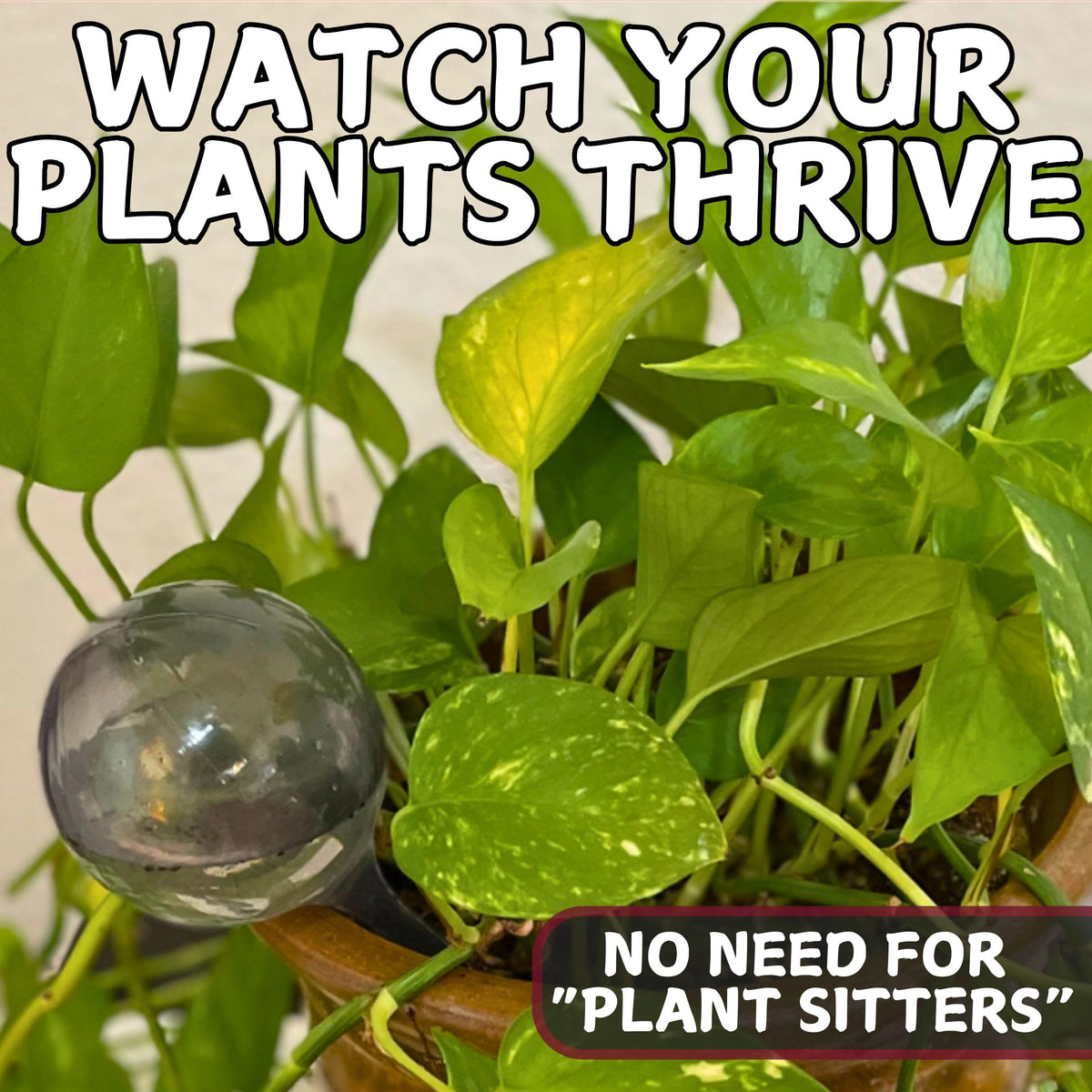 Tiny Terrains shatterproof globe outdoors, safe for kids and pets.