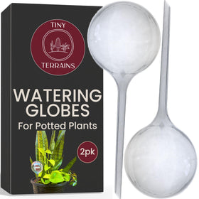 Tiny Terrains water globe fill demonstration for easy refilling and steady irrigation.