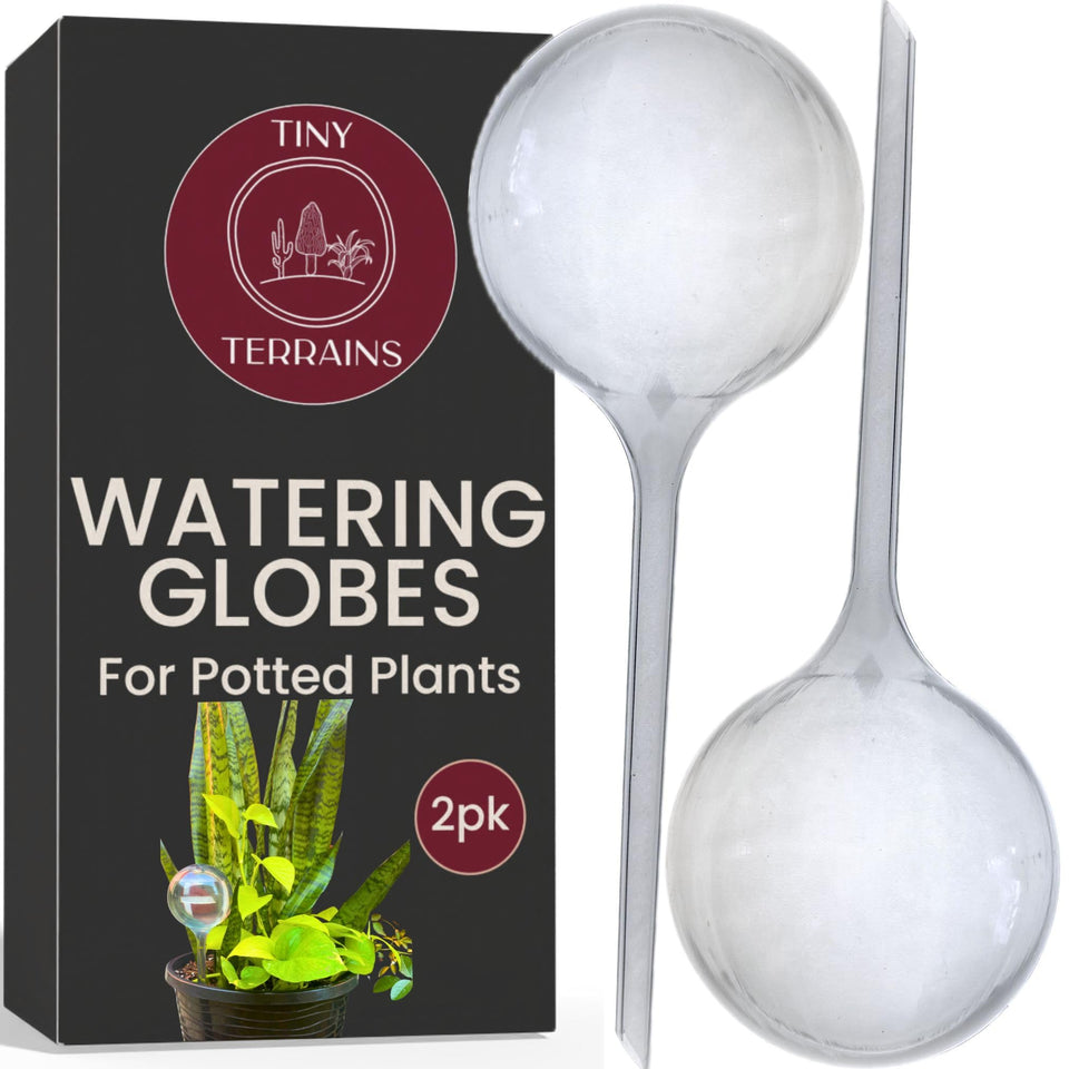 Tiny Terrains water globe fill demonstration for easy refilling and steady irrigation.