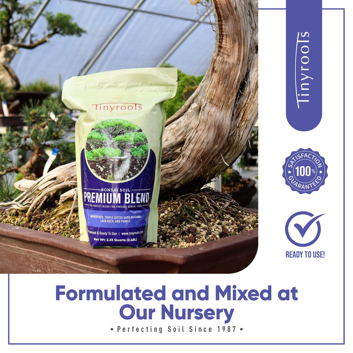 Tinyroots indoor bonsai soil ideal for finished trees and repotting