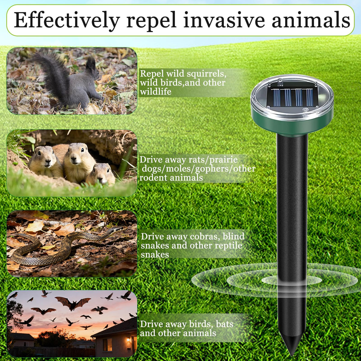 Tirgo groundhog deterrent solar unit protects garden beds