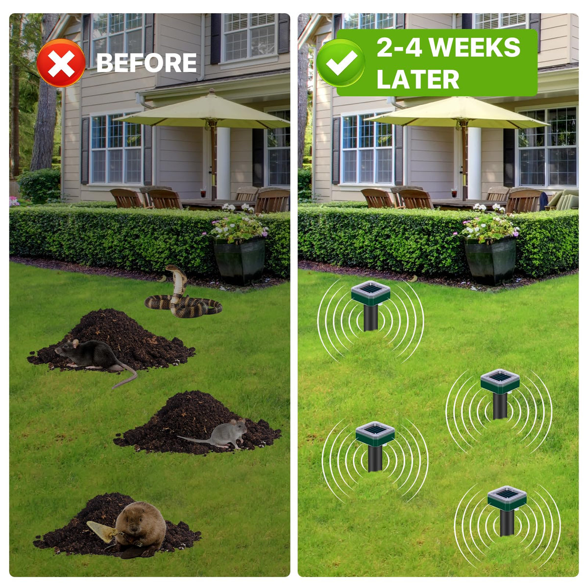 Tirgo groundhog vole deterrent spike deterring burrows in gardens