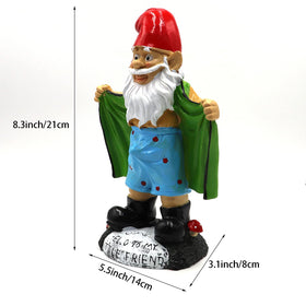 Tirifer gnome on patio showing playful character and charm