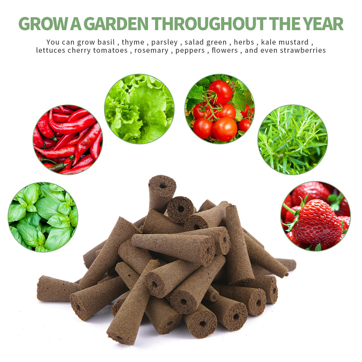 TISOHUGO indoor hydroponic garden setup supports year-round growing joy