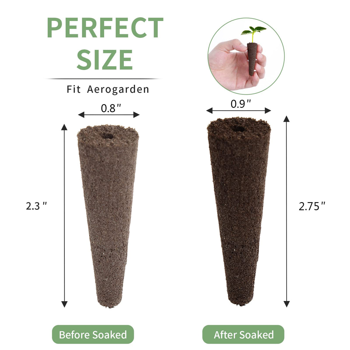 TISOHUGO mold-free drying process reduces moisture concerns before use