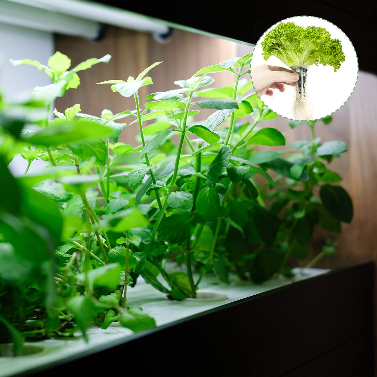 TISOHUGO pod-labels 10-pack included helps organize crops and schedules