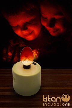 Titan Incubators egg candle use-case demo shows quick checks.