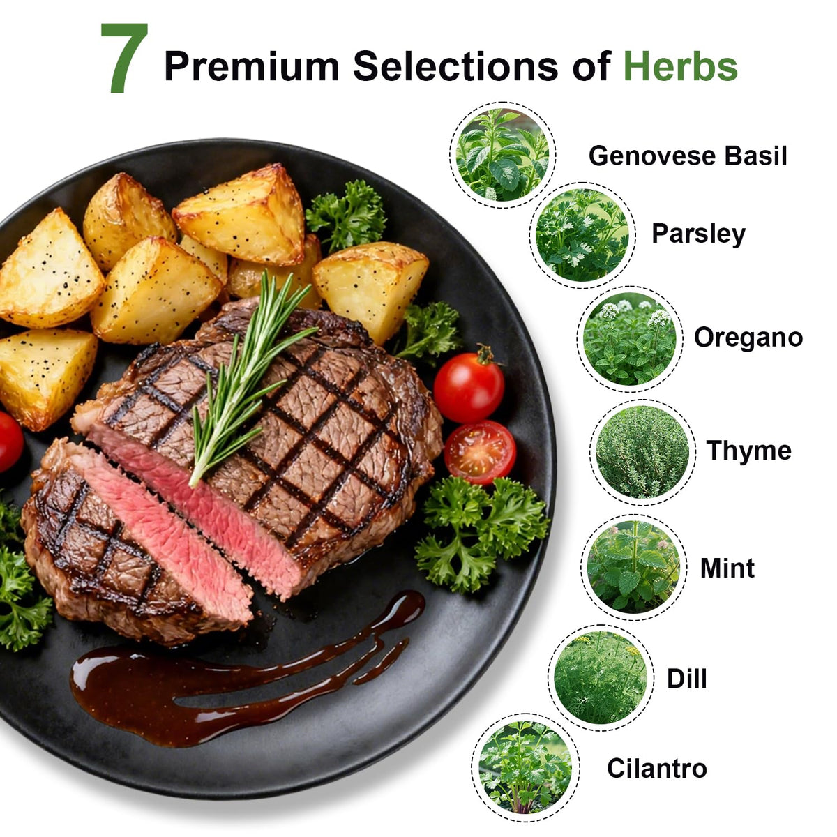 TitaniX USA heirloom seeds non-GMO pack for fresh herbs.