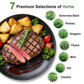 TitaniX USA heirloom seeds non-GMO pack for fresh herbs.