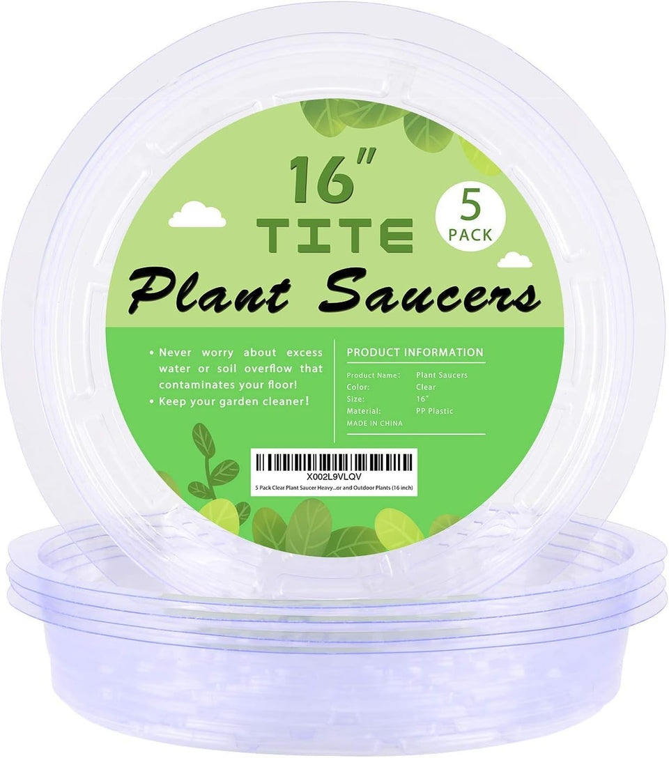 TITE 5-pack clear plant saucer top view protects floors while displaying decorative pots.
