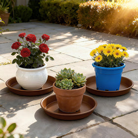 TITE plant saucer 10-inch dimensions shown for proper pot compatibility.