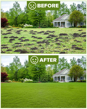 TITECK professional-grade landscaping rake supports efficient yard work