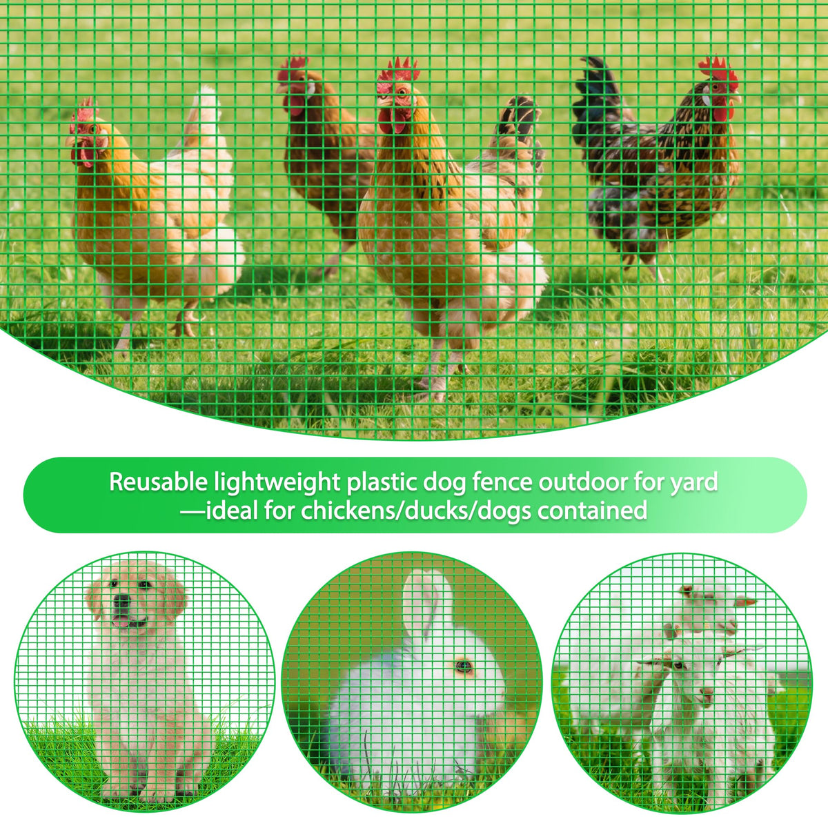 TITECK reusable UV-resistant fence suitable for poultry containment