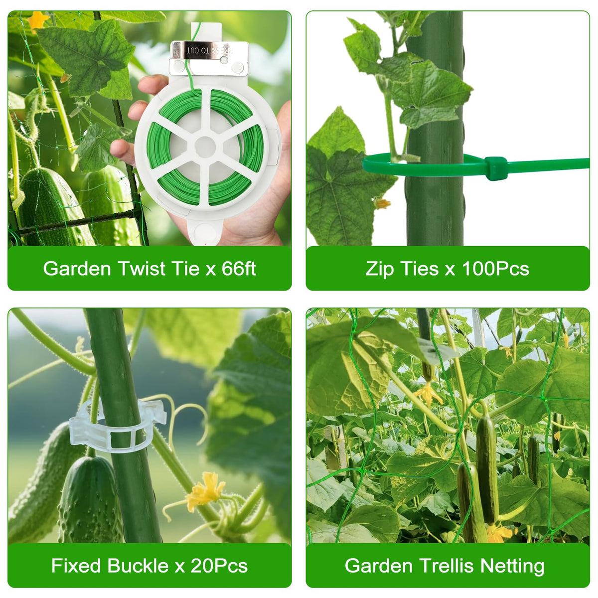tiuire trellis improves airflow and sunlight exposure for healthier vines.