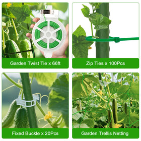 tiuire trellis improves airflow and sunlight exposure for healthier vines.