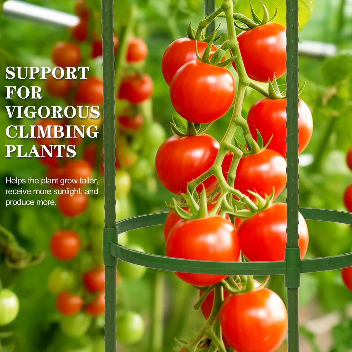 tiuire rust-resistant coating ensures long-lasting outdoor trellis for year-round use