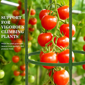 tiuire rust-resistant coating ensures long-lasting outdoor trellis for year-round use