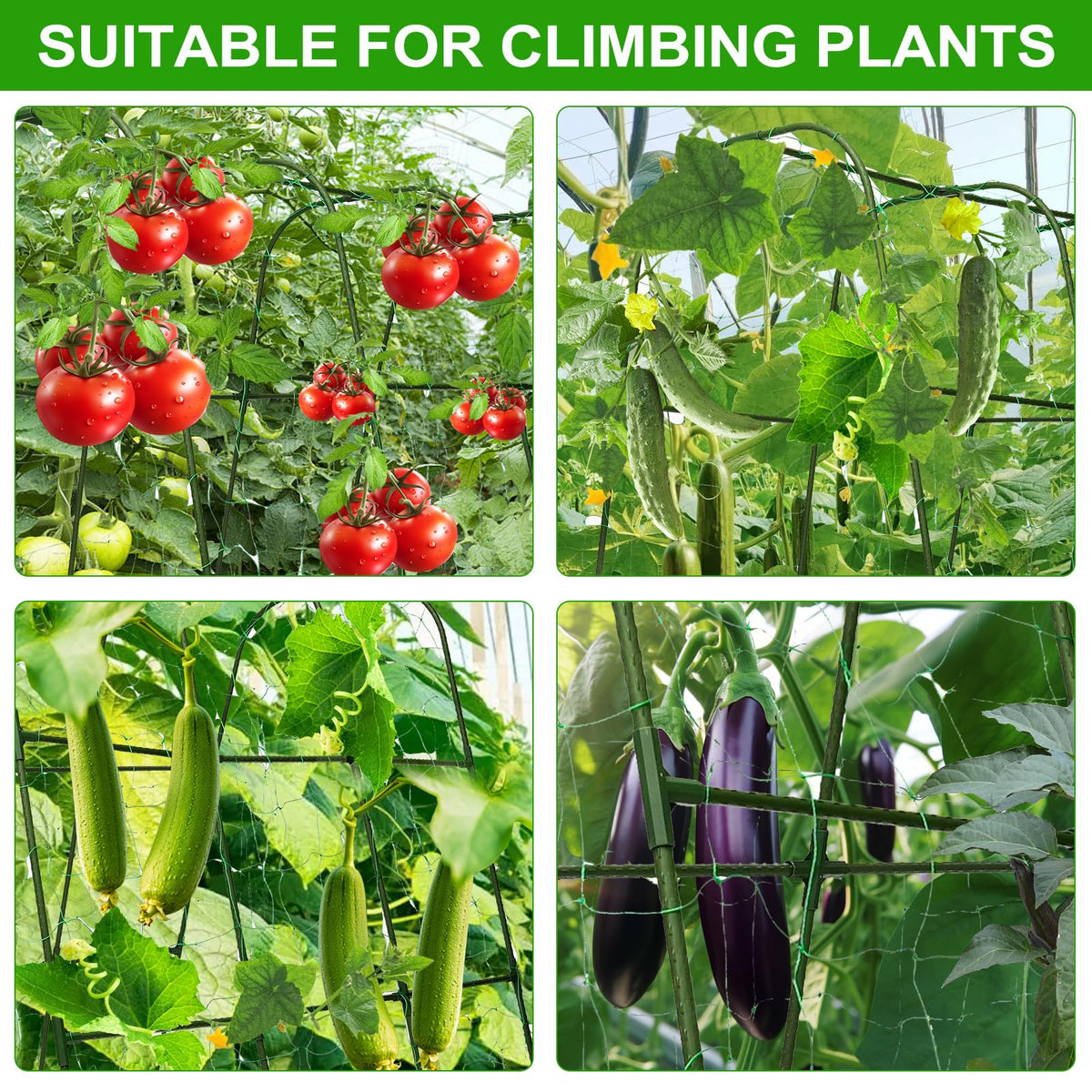tiuire vegetable support ideal for tomatoes, peas, and beans in garden beds.