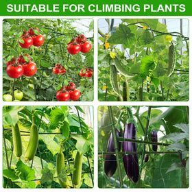 tiuire vegetable support ideal for tomatoes, peas, and beans in garden beds.