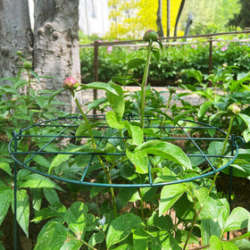 TIyneayle large openings enable easy harvesting and airflow.